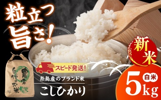 ツヤと甘みが自慢！糸島市産「こしひかり」