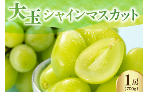 🍇✨芳醇な香りと上品な甘さを楽しむ、贅沢シャインマスカット✨🍇