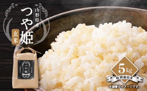 先行予約　令和8年産　山形県川西町産　つや姫　玄米5kg【1462379】