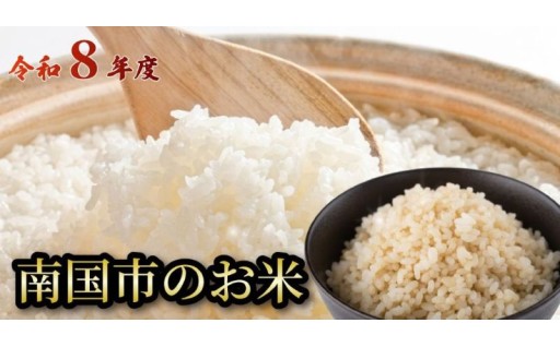 南国市のお米特集！