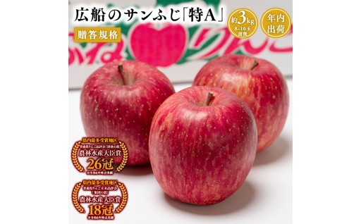 【12月】青森県産 贈答規格 広船のサンふじ 約3kg「特A」【広船アップルクラブ】