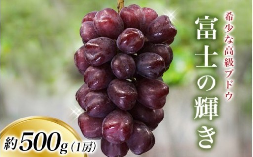 ＜早いもの勝ち !＞富士の輝き 約500g 1房 ※2026年9月頃発送予定 