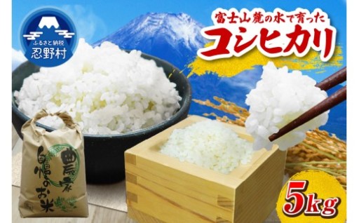 【新米先行予約】忍野村産コシヒカリ(５㎏)