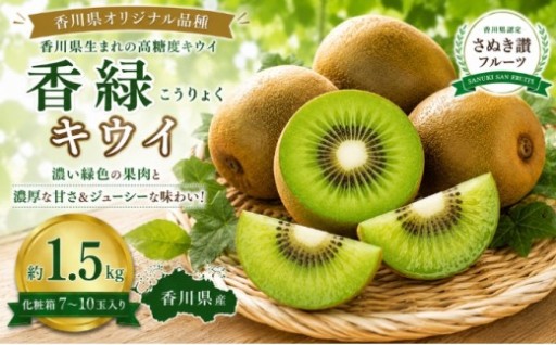 先行予約受付中！香緑キウイ約1.5kg 