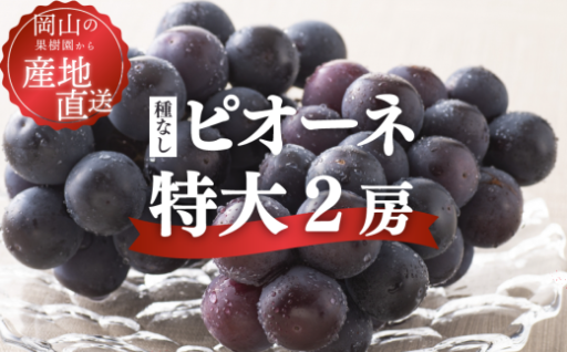 【なくなり次第終了】ご家庭用 特大ピオーネ 種なし 2房入 計1.3kg以上