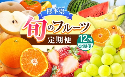 【定期便12回】旬のフルーツ 定期便 年12回