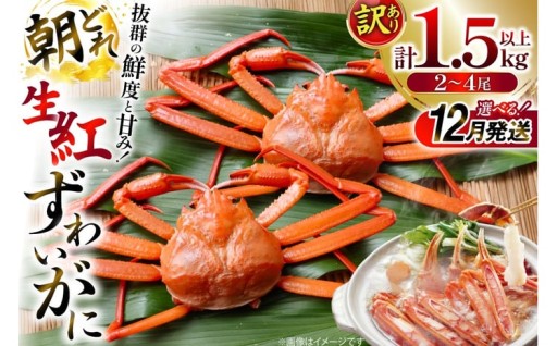 漁師の朝獲れ！抜群の鮮度と甘みをご自宅へ！