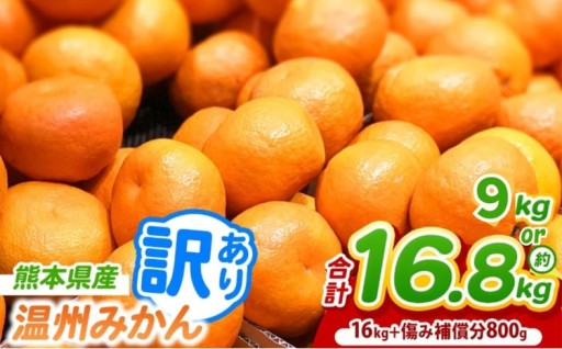 【選べる 容量】訳あり 熊本県産 温州 みかん 約9.5kg or 16.8kg