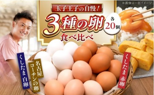 創業90年！稲沢こだわり卵3種食べ比べ60個