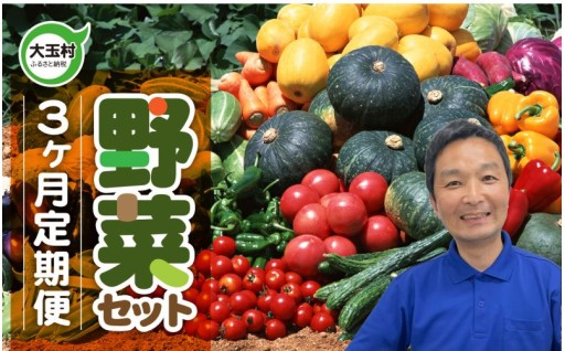 野菜定期便【3回】 野菜セット 3ヶ月 （毎回10種類前後発送）