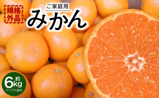 ＜ R8年熊本地震復興支援 ＞【規格外品】 みかん ご家庭用 約6kg 