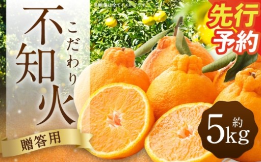 熊本産 おにつか農園 こだわり 不知火 贈答用 約5kg