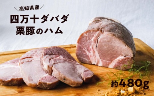 切るだけで、サラダが主役です