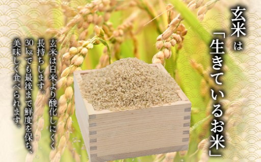 【先行予約受付終了間近です】令和8年産米のゆめぴりか・ななつぼしの先行販売がまもなく終了します！	