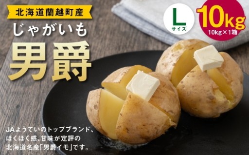じゃがいも （ 男爵 ） Lサイズ 約10kg × 1箱 約10kg