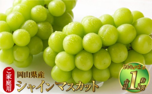 ご家庭用 岡山県産 シャインマスカット 晴王 約1kg（500g×2房）