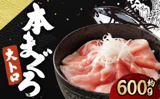 長崎県産 本マグロ「大トロ」約600g 
