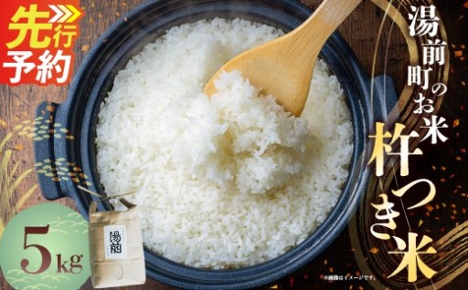 令和8年産 湯前町のお米「杵つき米」5kg