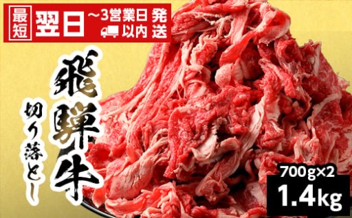 飛騨牛切り落とし 1.4kg 700g×2P
