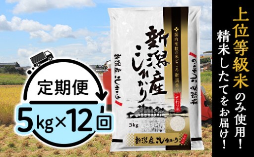 【令和8年産新米🌾】新潟県産コシヒカリ5kg（12ヶ月連続お届け）
