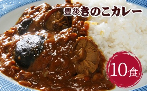豊後 きのこ カレー 180g×10食