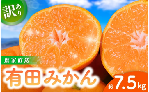【冬は和歌山の有田みかん】味は秀品訳ありみかん🍊