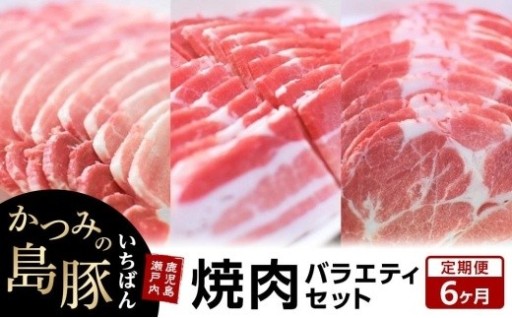【定期便6か月】かつみの島豚いちばん焼肉バラエティセット 750g（250g×3パック）