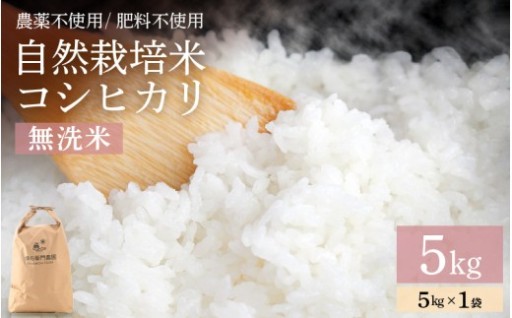 土の力だけで育てた、ありのままのコシヒカリ🌾