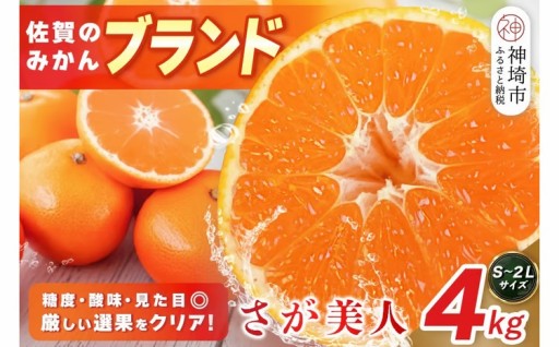 ＼∖ 2026年10月上旬より発送開始　佐賀美人🍊 /／