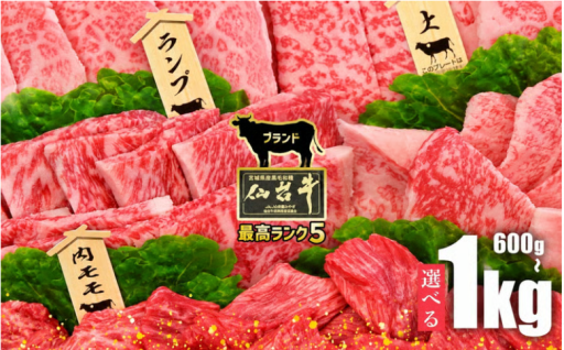 極上の焼肉セット【定期便】です！