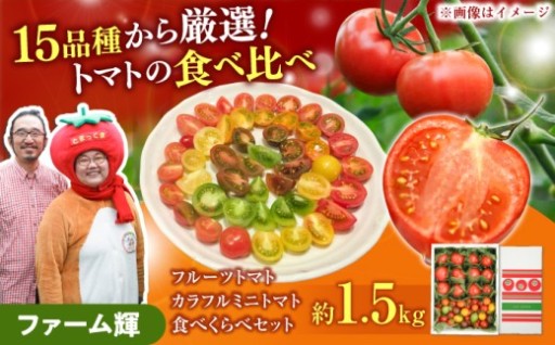 ＼先行予約／フルーツ＆ミニトマト食べ比べ  約1.5kg