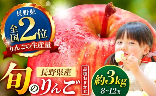 信州産りんご【品種おまかせ】約3kg (8～12玉)
