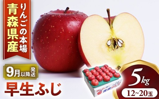 今が旬！りんご【早生ふじ】約5kg（12～20玉）★2026年9月下旬～10月下旬頃まで発送予定★