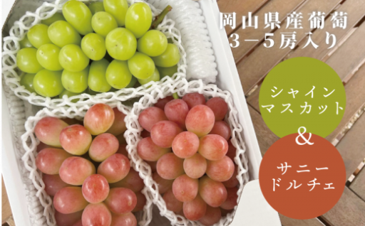 【なくなり次第終了】シャインマスカット＆希少品種のサニードルチェ 3-5房/計2.0kg~ (岡山県産)