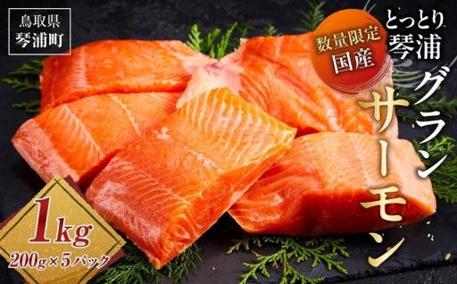 サーモン 琴浦 グランサーモン 1kg ( 200g × 5パック )