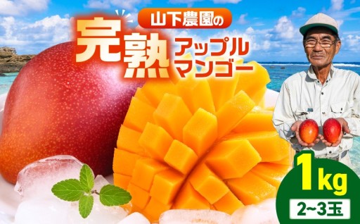 【2027年先行予約】甘い香りの贈り物！山下農園の完熟アップルマンゴー 1kg（2～3玉）