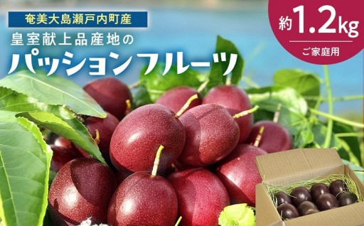 27年産先行予約 パッションフルーツ ご家庭用 約1.2kg