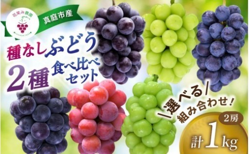 【2027年先行予約開始！】ぶどう 食べ比べ 選べる組み合わせ2種セット 1kg《除草剤不使用》
