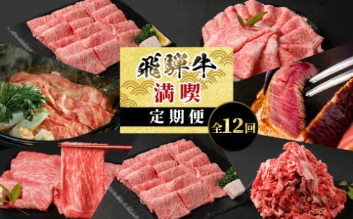 飛騨牛 満喫定期便 全12回 