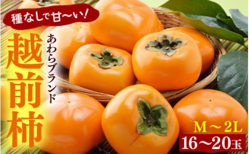 【ブランド柿】種なしで食べやすい！甘くまろやか！	