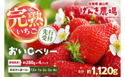 ＼冬の楽しみをひと足先に🍓／完熟おいCベリーを先行予約⛄