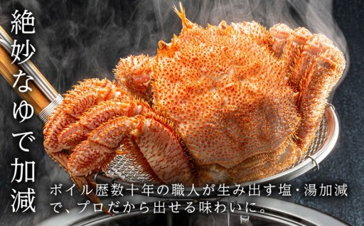 〈かにのマルマサ〉北海道産　朝ゆで毛ガニ