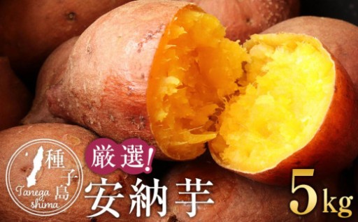 厳選！本場種子島産安納芋５kg