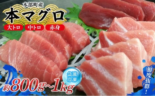本部町産　本マグロづくし（大トロ・中トロ・赤身）約800g～1000g