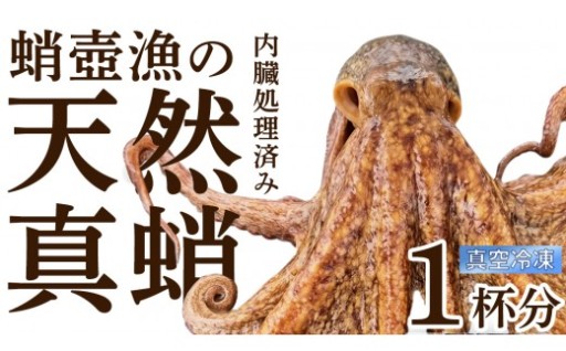 瀬戸内海産 天然真蛸 1杯分 冷凍真空パック