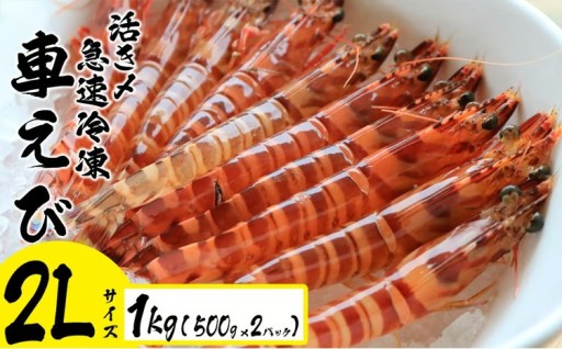 活き〆急速冷凍車えび【2Lサイズ】　1kg（500g×2パック）