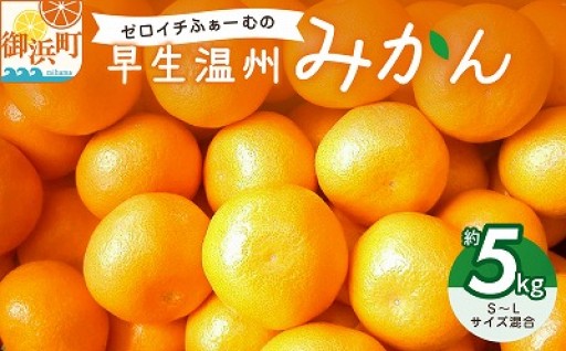 【もぎたてを農園より直送🚚💨】ゼロイチふぁーむのみかん 約5キロ🍊