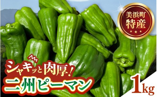 【シャキッと肉厚✨】甘くてみずみずしい！産地直送