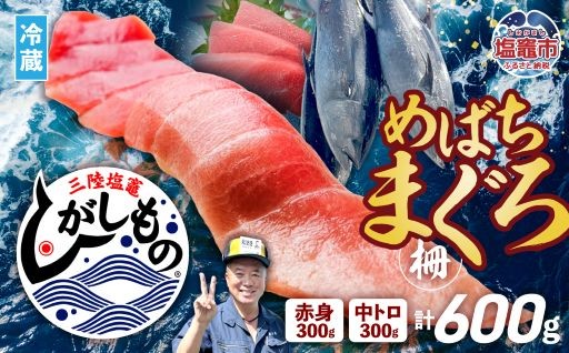〈冷蔵〉三陸塩竈ひがしもの 赤身・中トロ 各300g 計600g
