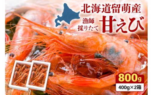 北海道留萌産　漁師採りたて甘えび400g×2箱